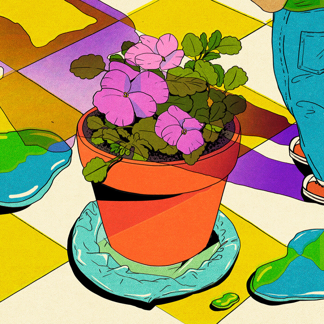 Illustrations by María Jesús Contreras